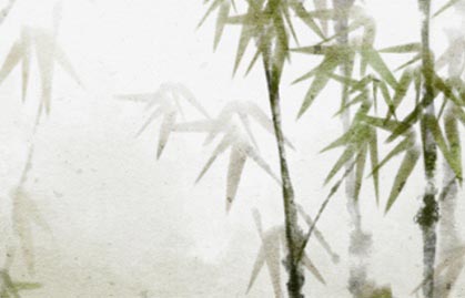 竹 竹